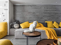 純干貨！家里有寵物的十個(gè)裝飾小建議